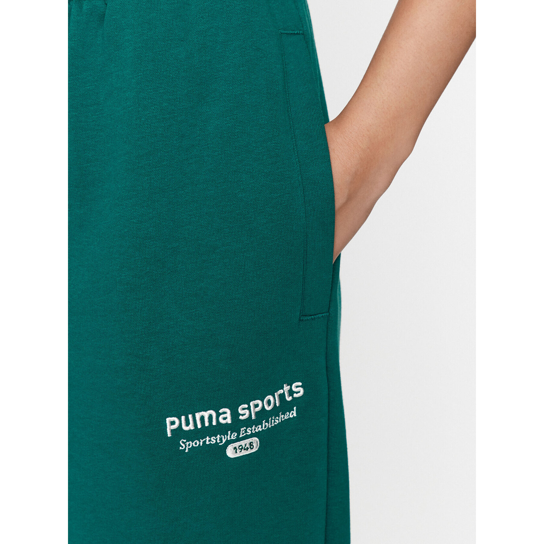 Puma Долнище анцуг Team 621442 Зелен Regular Fit - Pepit.bg