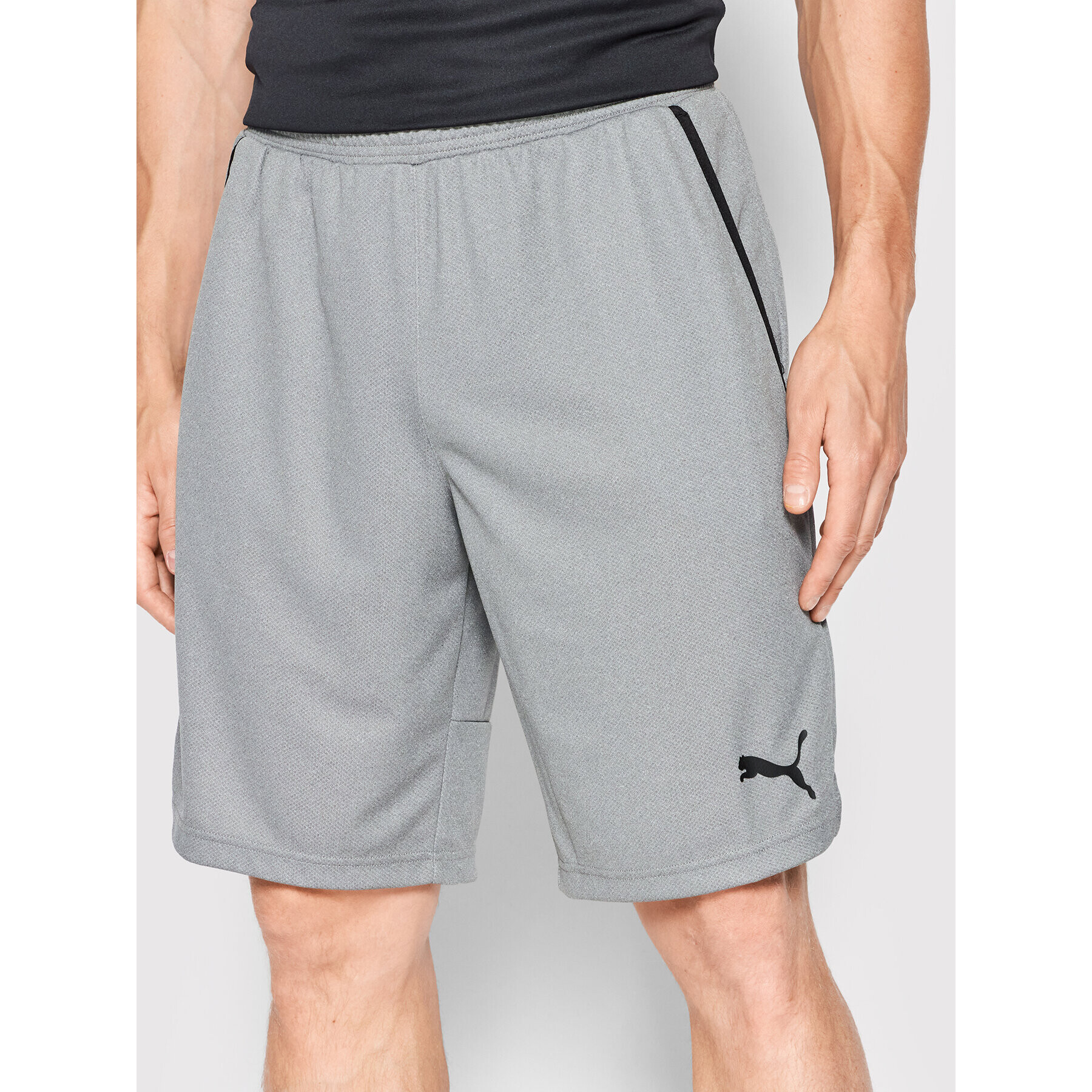 Puma Спортни шорти Rtg Interlock 585835 Сив Regular Fit - Pepit.bg