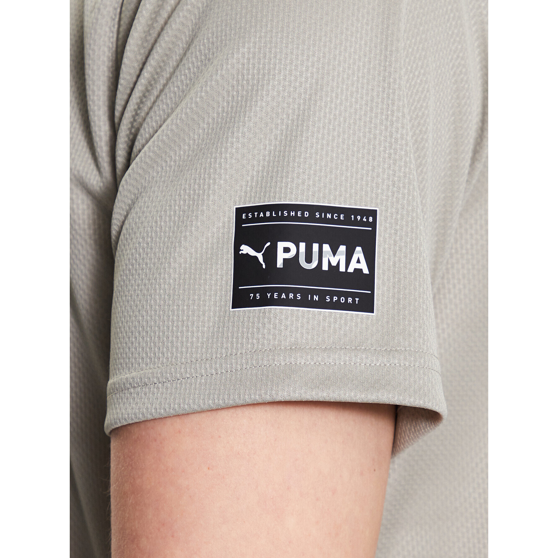 Puma Тениска от техническо трико Ultrabreathe 523113 Бежов Regular Fit - Pepit.bg