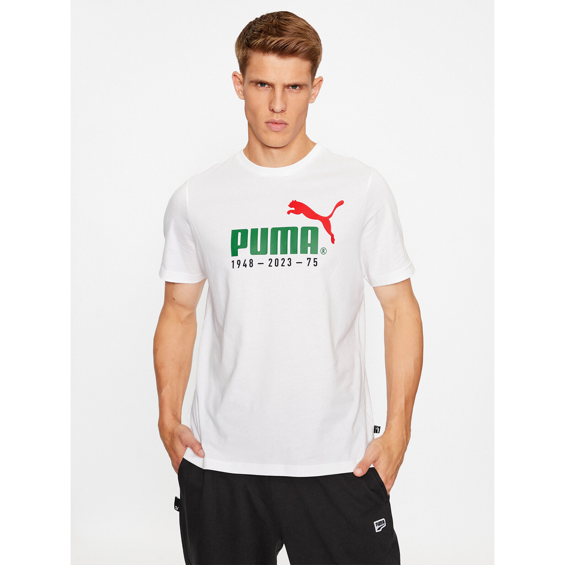Puma Тишърт No. 1 Logo Celebration 676020 Бял Regular Fit - Pepit.bg