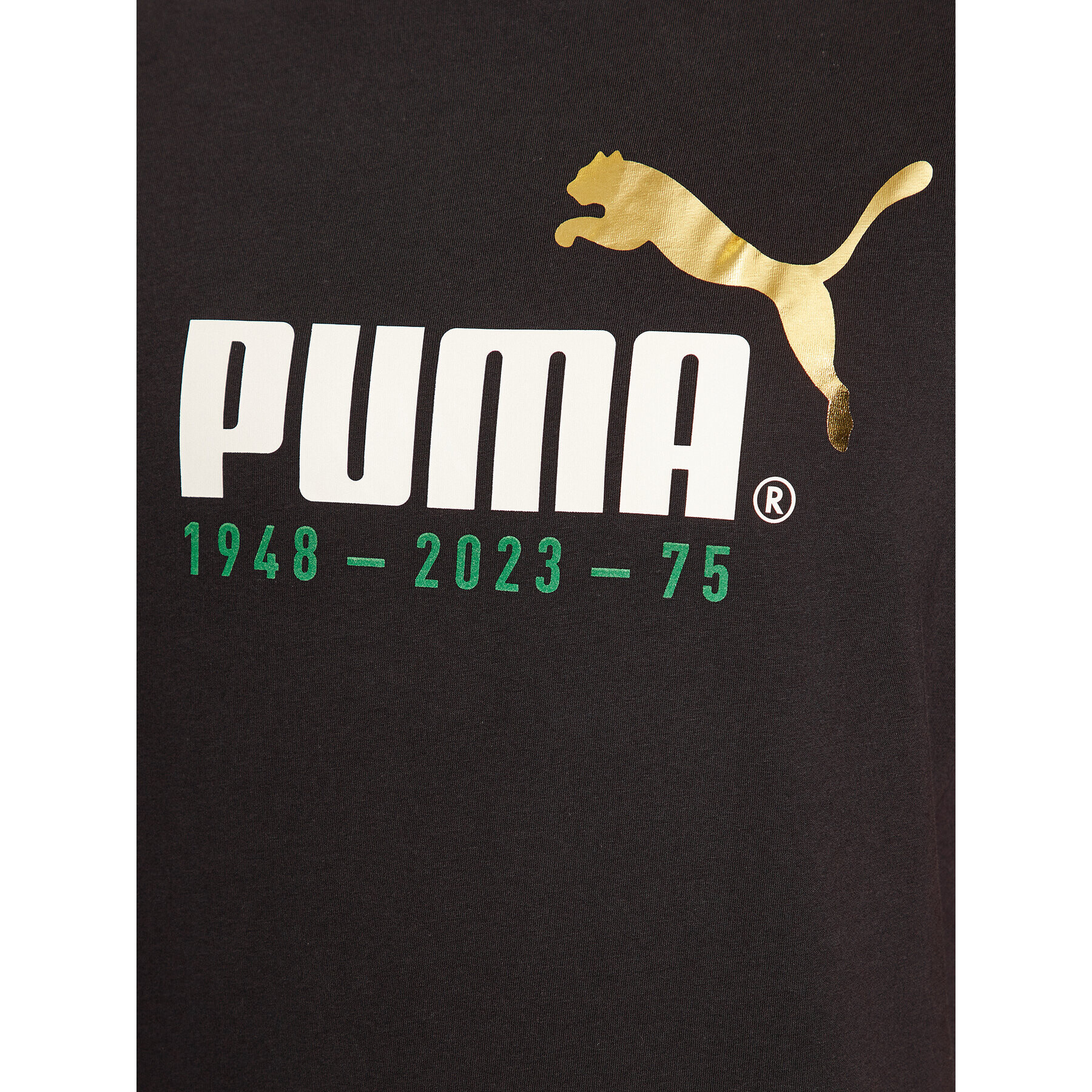 Puma Тишърт No. 1 Logo Celebration 676020 Черен Regular Fit - Pepit.bg