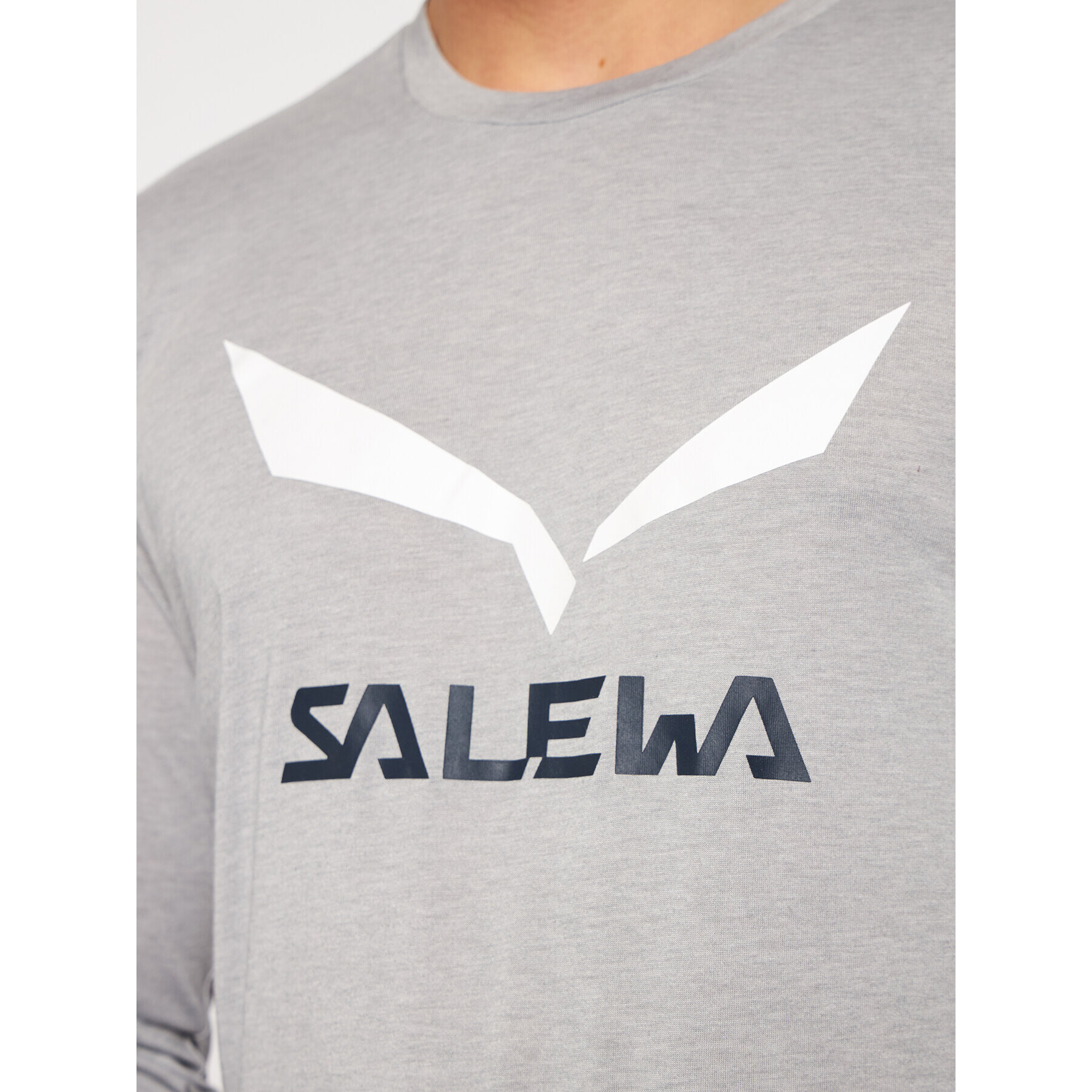 Salewa Тениска от техническо трико Solidlogo Dry 27340 Сив Regular Fit - Pepit.bg