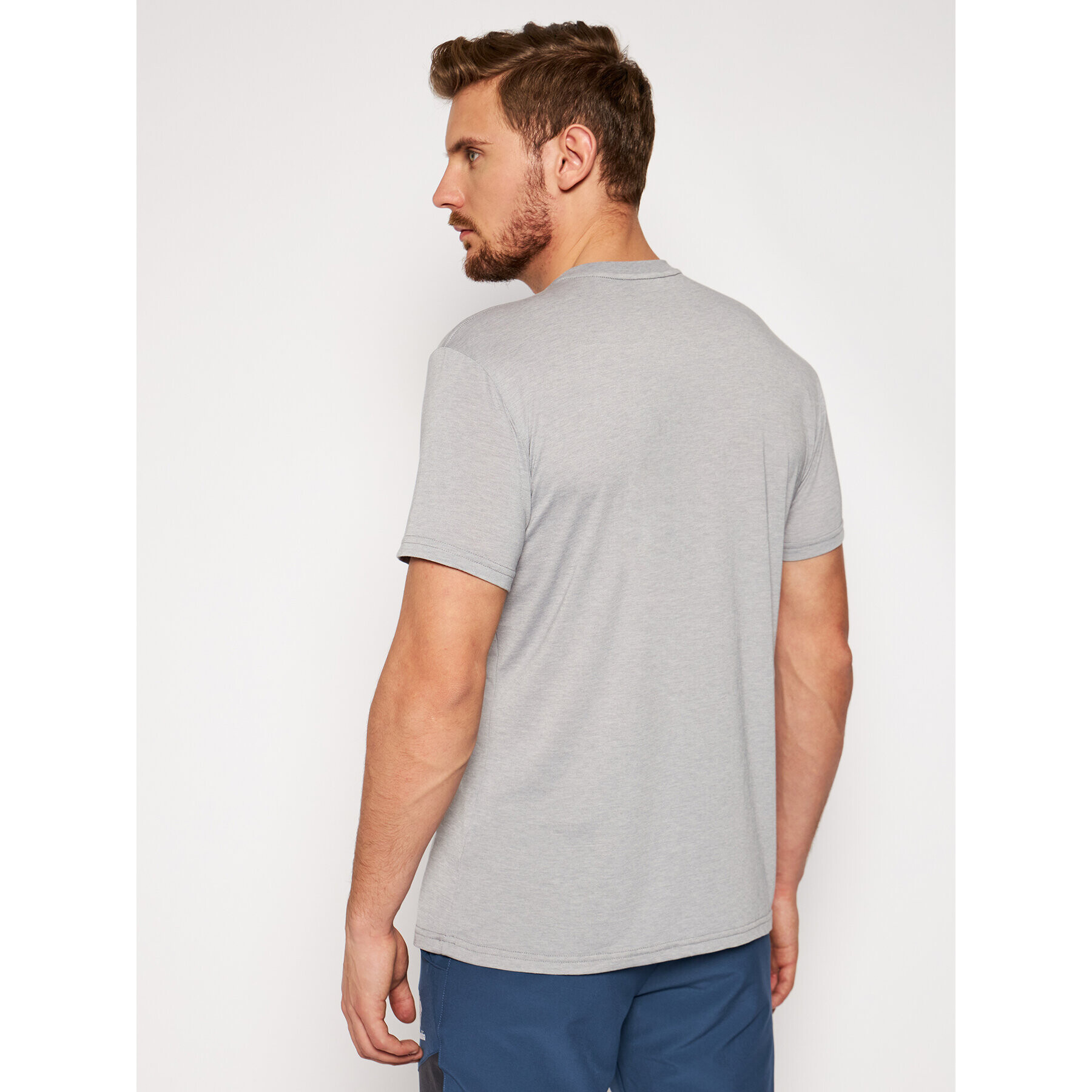 Salewa Тишърт Solidlogo Dry 27018 Сив Regular Fit - Pepit.bg