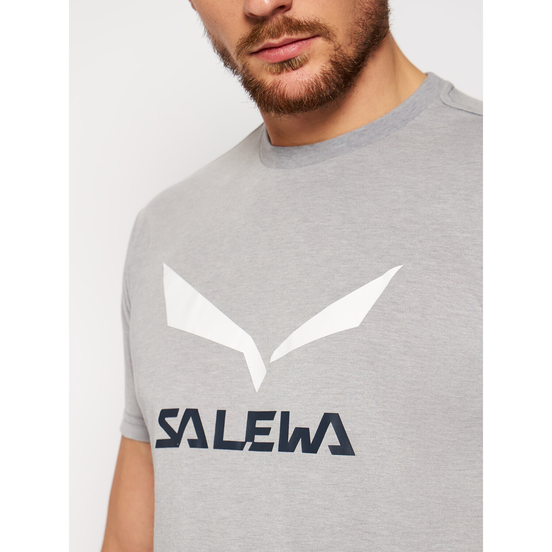 Salewa Тишърт Solidlogo Dry 27018 Сив Regular Fit - Pepit.bg