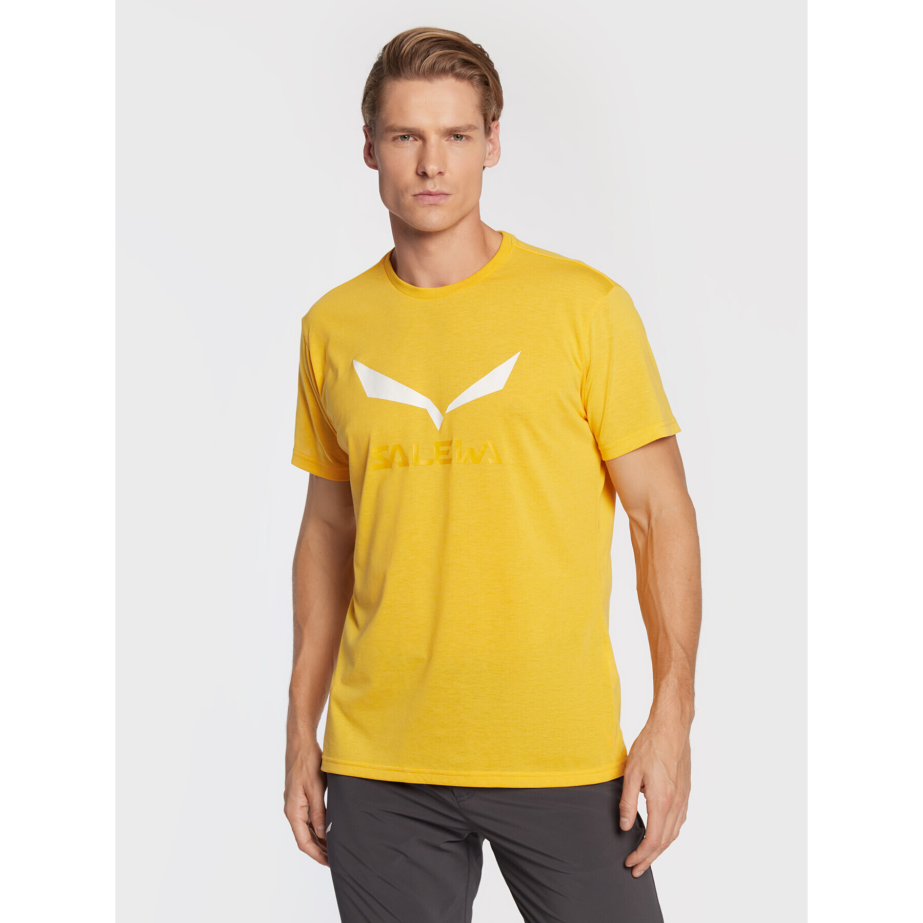 Salewa Тишърт Solidlogo Dry 27018 Жълт Regular Fit - Pepit.bg