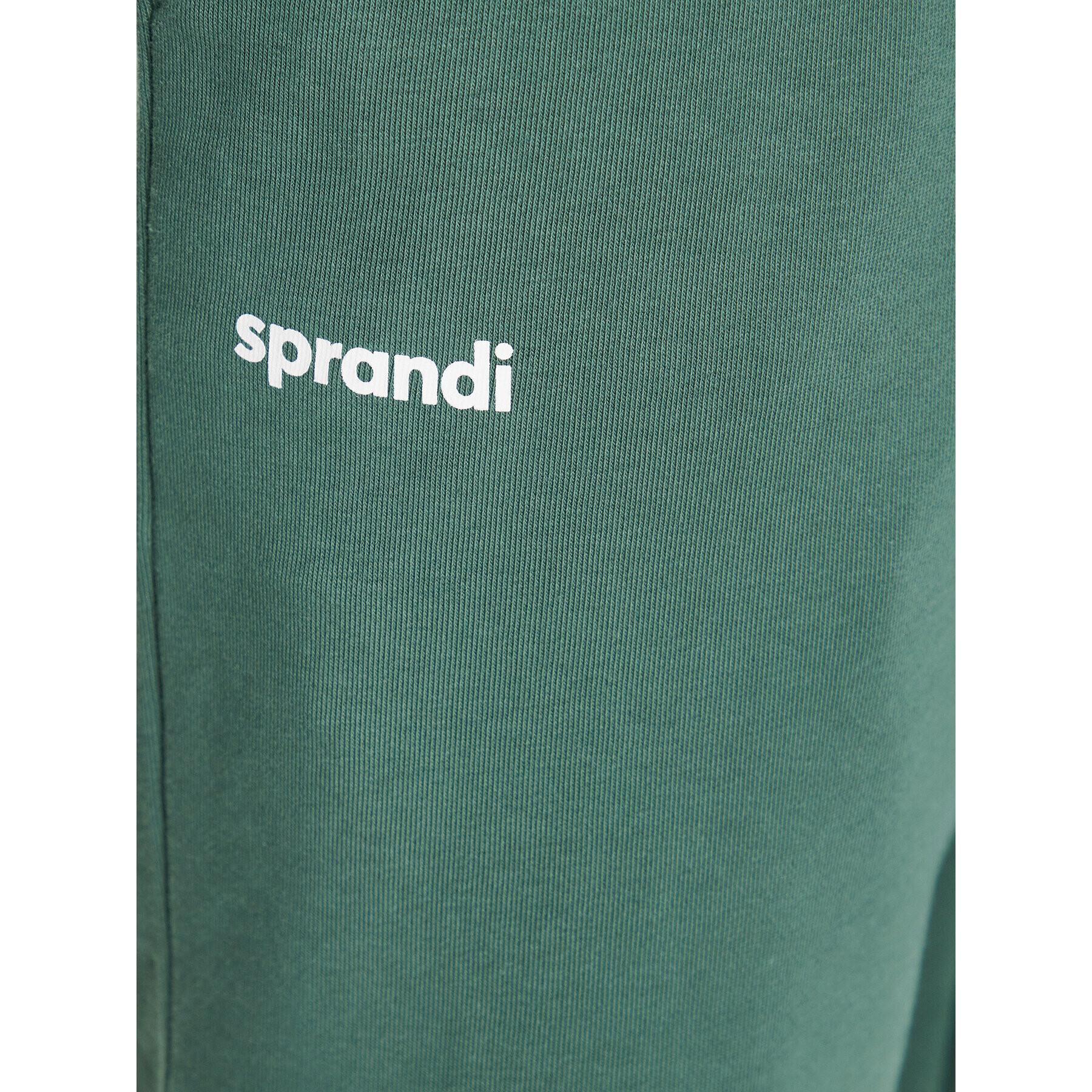 Sprandi Спортни шорти SP3-SKM020 Зелен Regular Fit - Pepit.bg