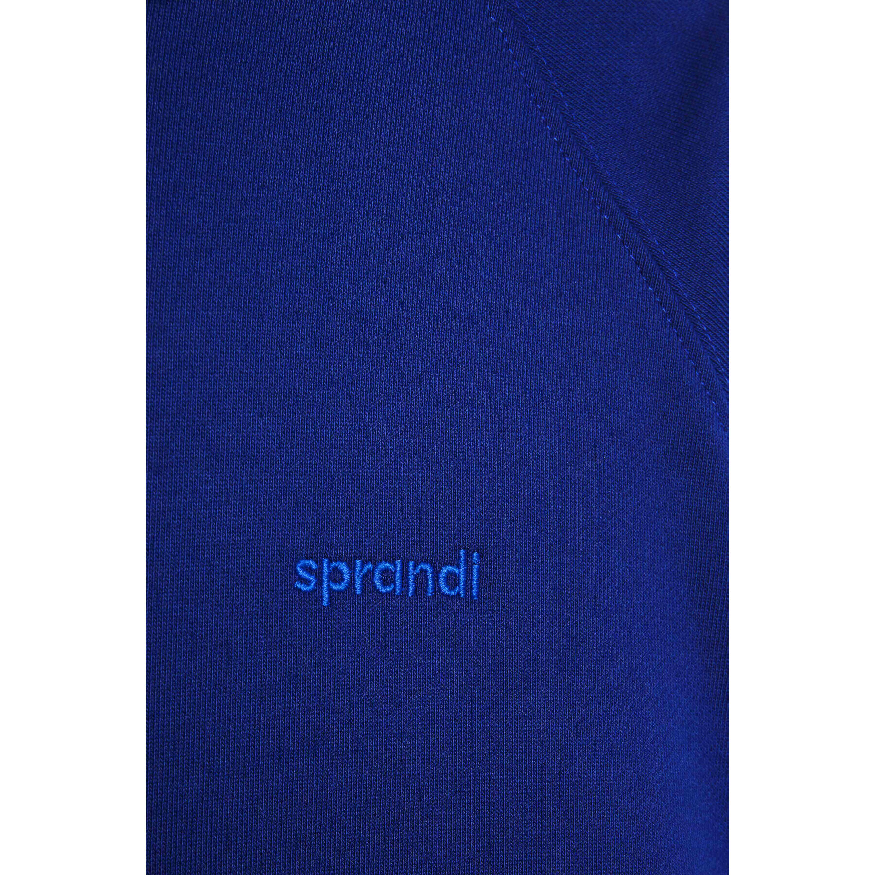 Sprandi Суитшърт AW21-BJM015 Син Regular Fit - Pepit.bg