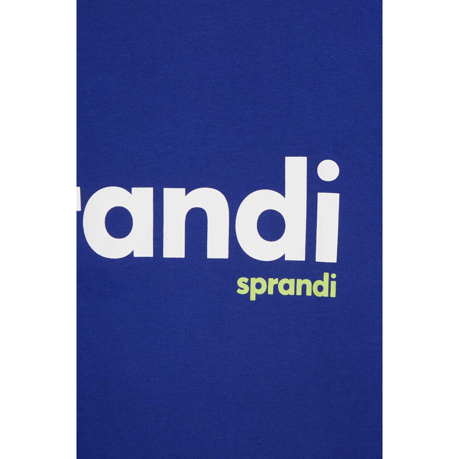 Sprandi Тишърт AW21-TSM004 Син Regular Fit - Pepit.bg