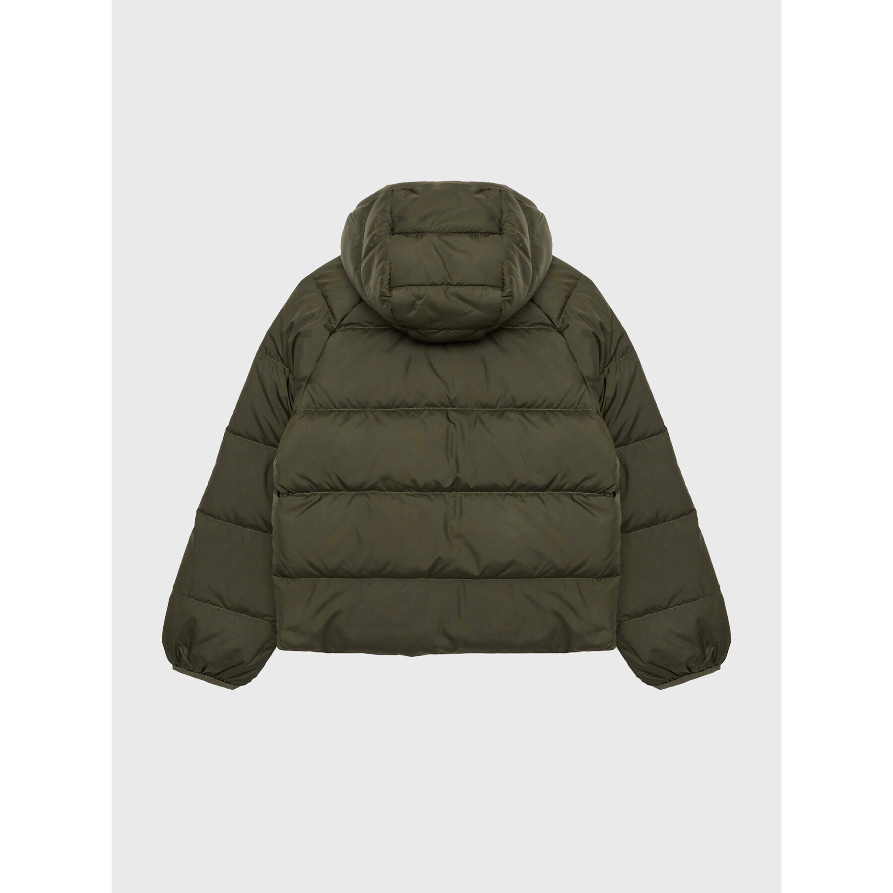 The North Face Пухено яке Printed NF0A7WOP Зелен Regular Fit - Pepit.bg