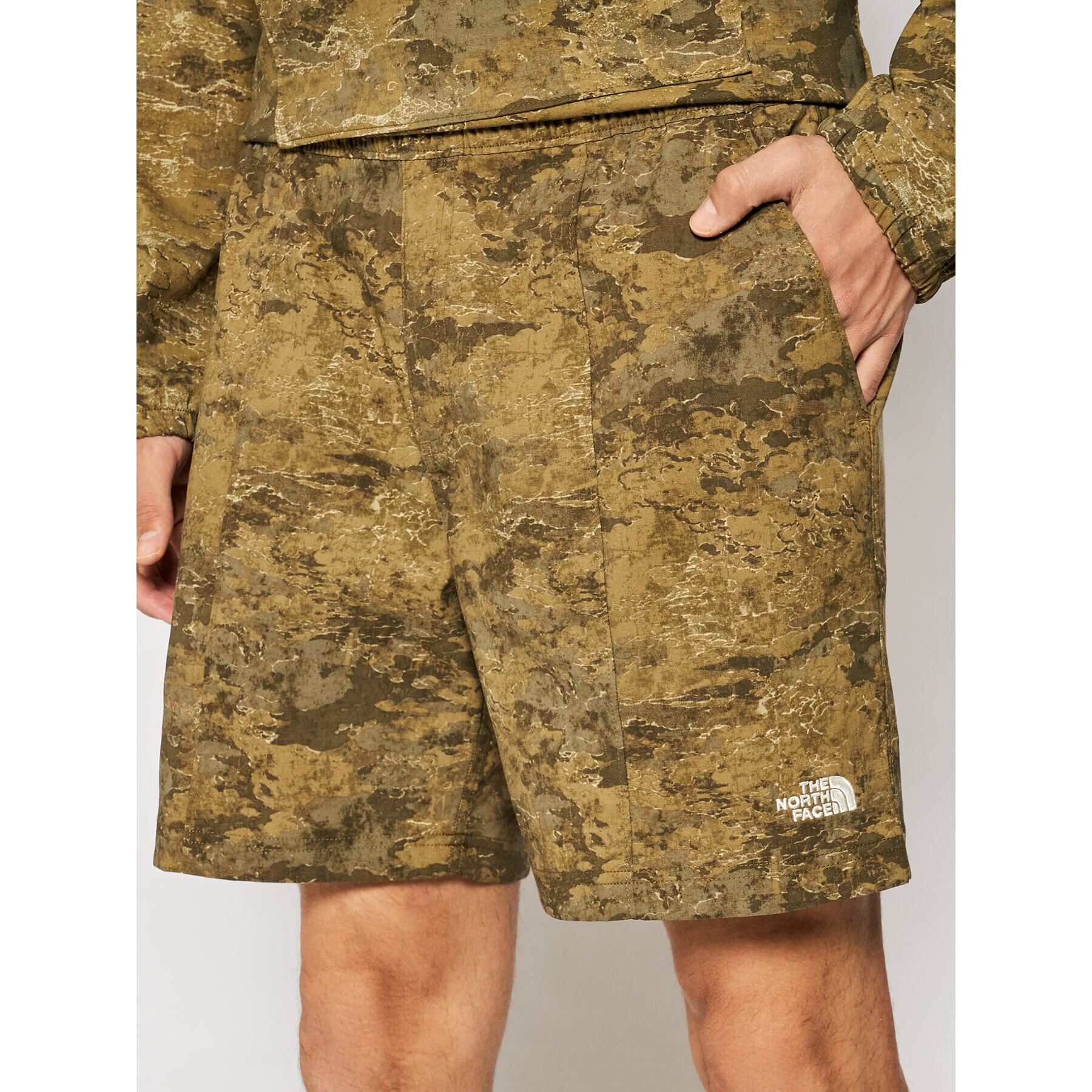 The North Face Спортни шорти M Class V Pull NF0A5A5X Зелен Regular Fit - Pepit.bg