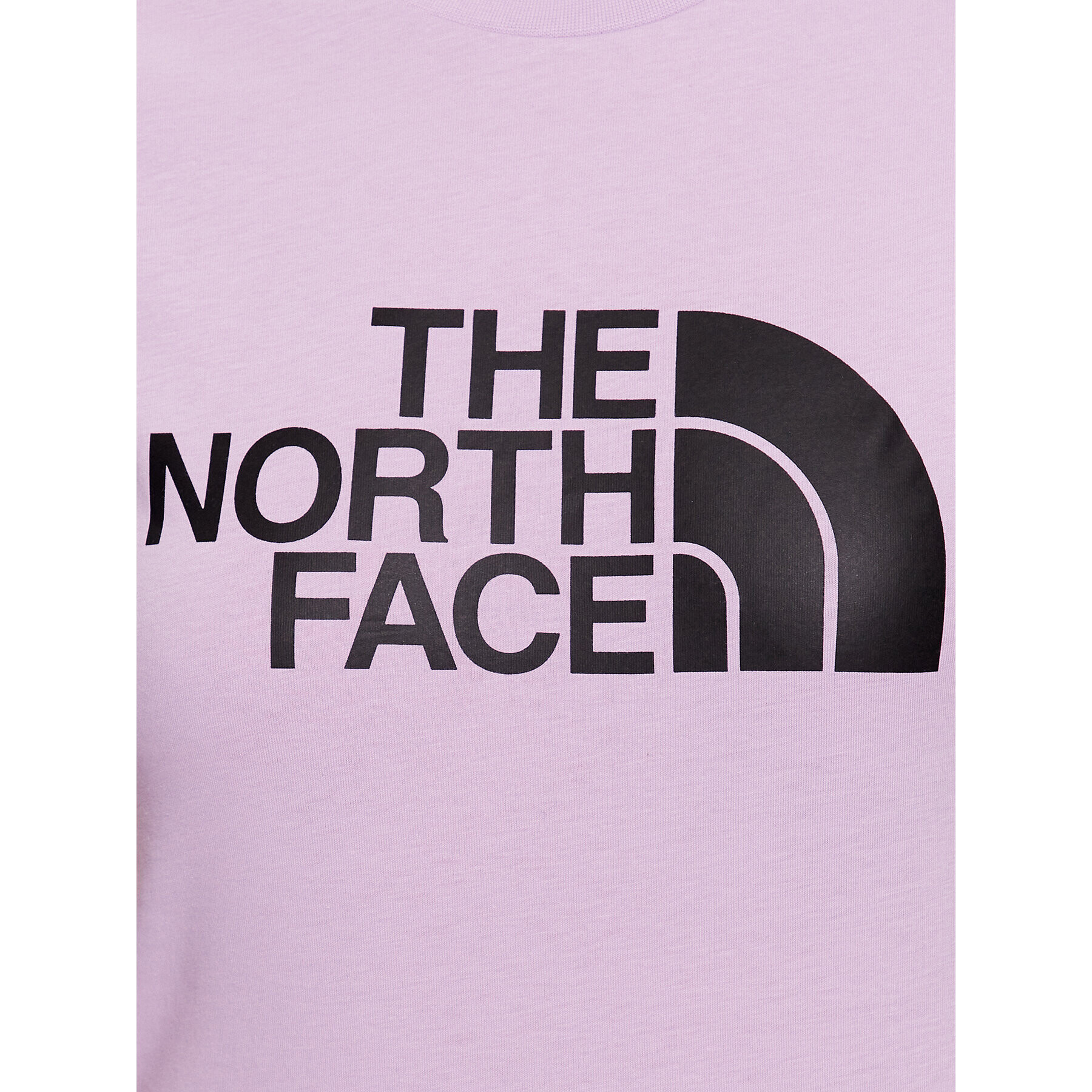 The North Face Тишърт Easy NF0A4T1Q Виолетов Regular Fit - Pepit.bg