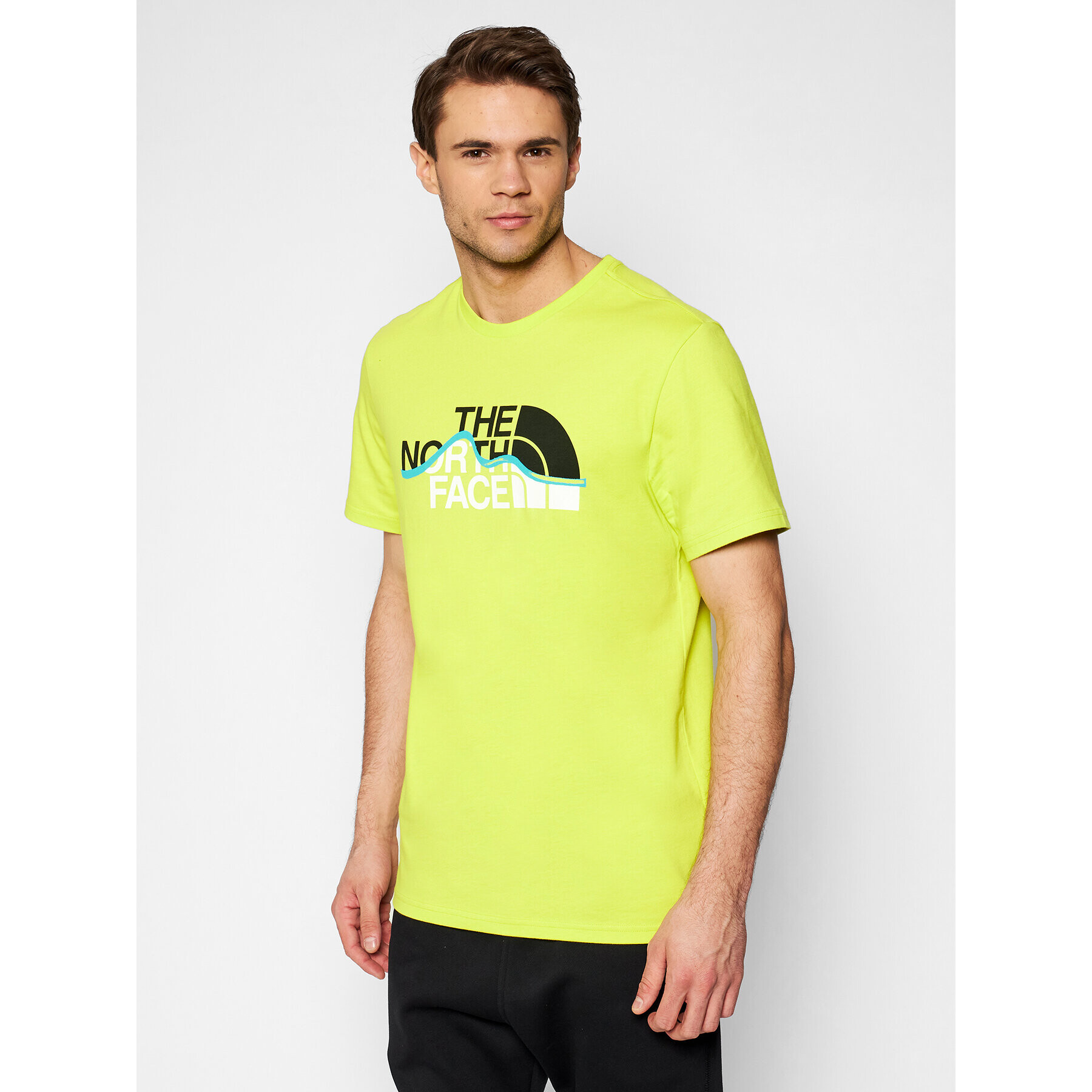 The North Face Тишърт Mountain Line Tee NF00A3G2JE31 Зелен Regular Fit - Pepit.bg