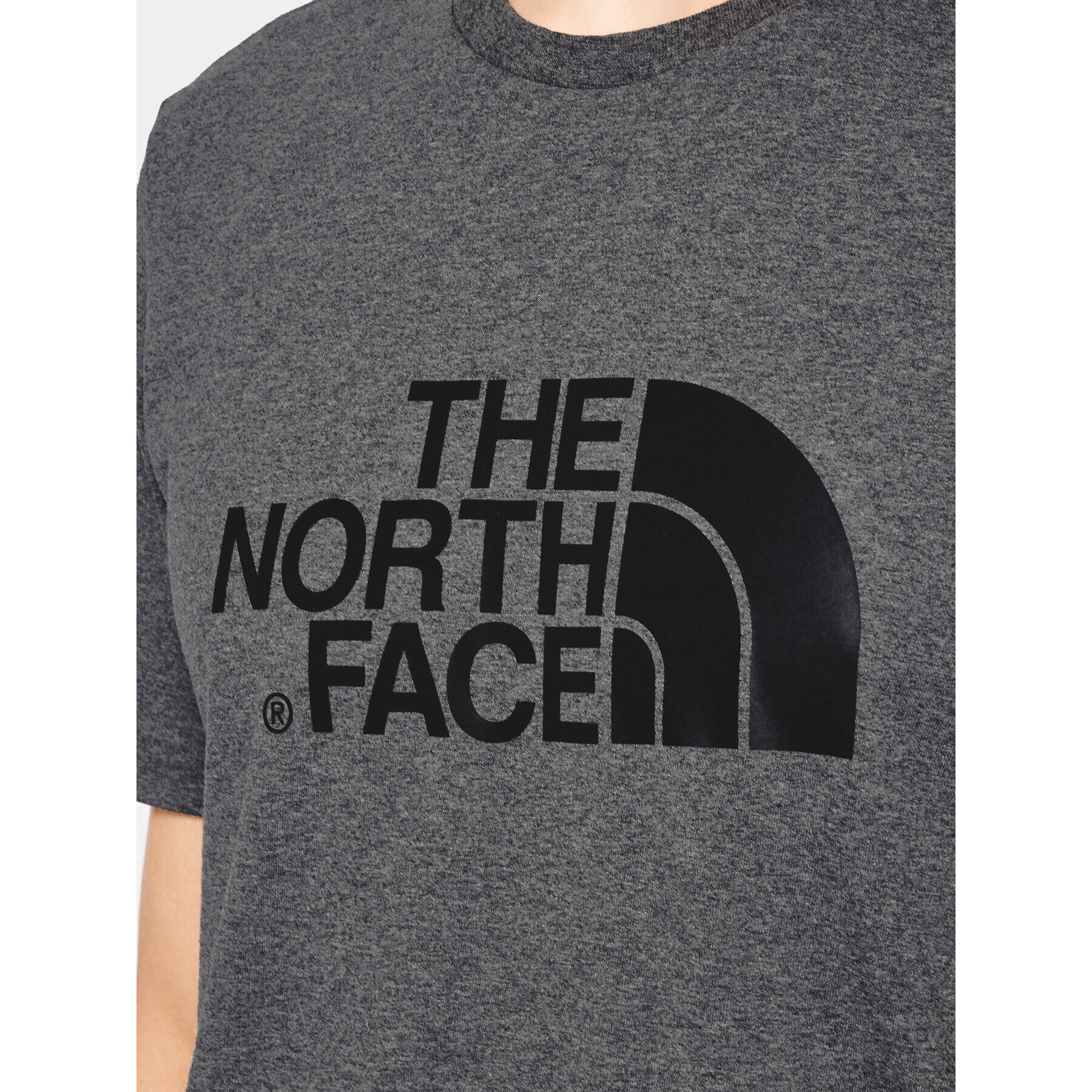 The North Face Тишърт NF0A2TX3 Сив Regular Fit - Pepit.bg