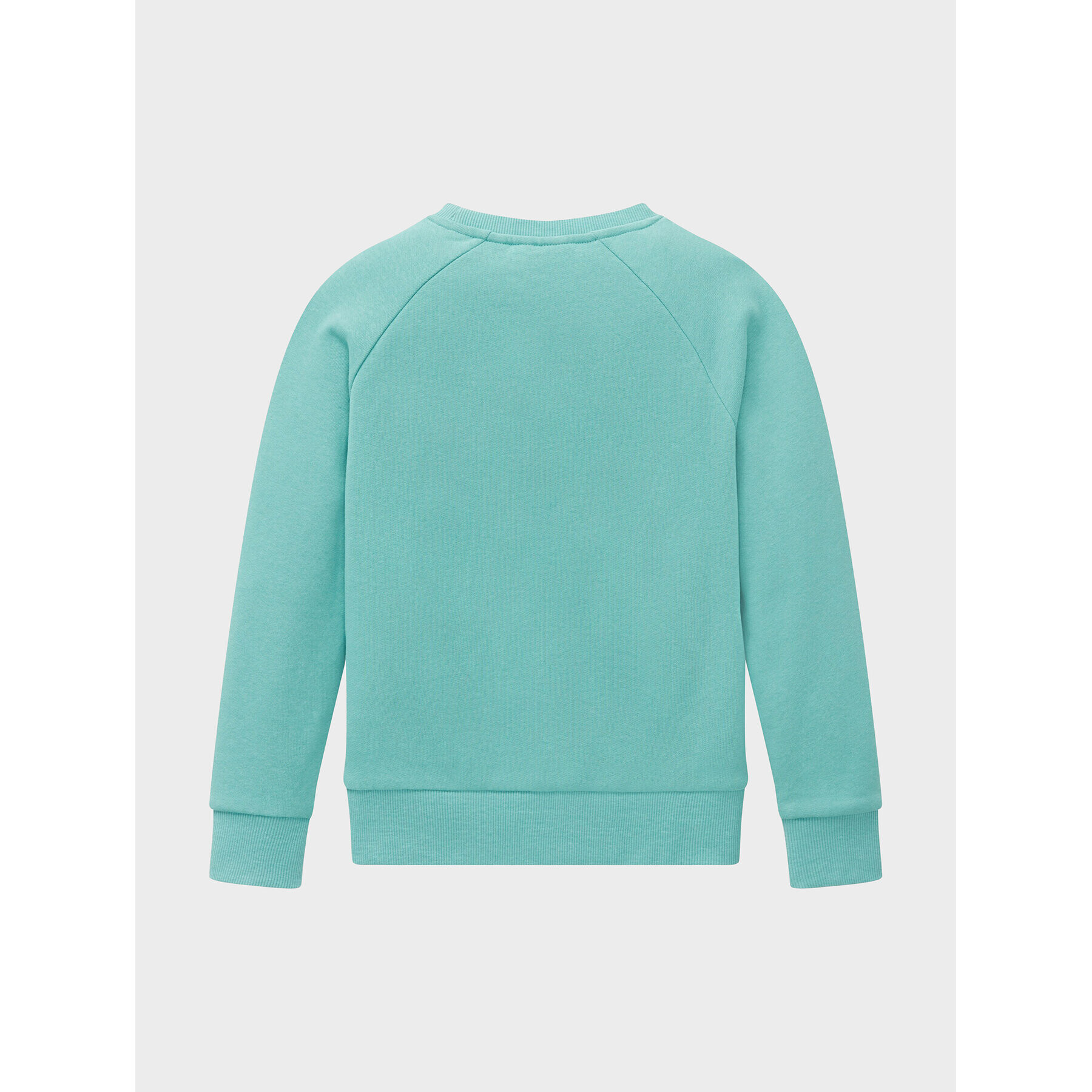 Tom Tailor Суитшърт 1032888 Зелен Regular Fit - Pepit.bg