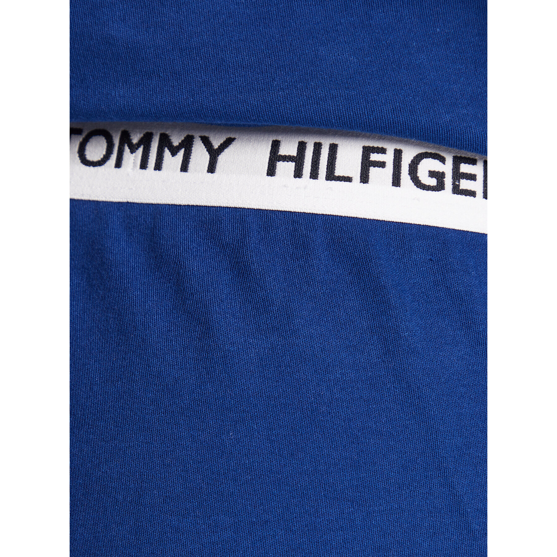 Tommy Hilfiger Долнище анцуг UM0UM01769 Син Regular Fit - Pepit.bg