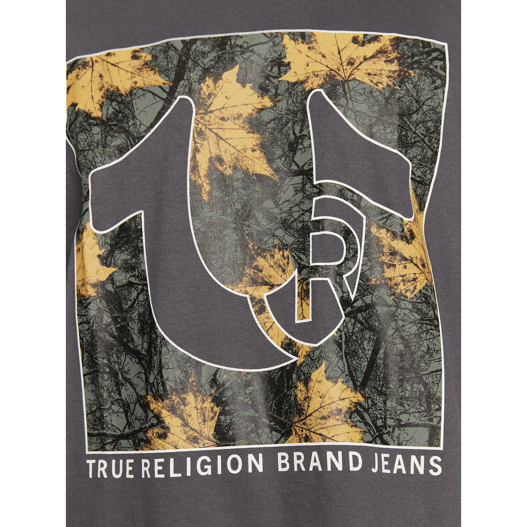 True Religion Тишърт 106299 Сив Regular Fit - Pepit.bg