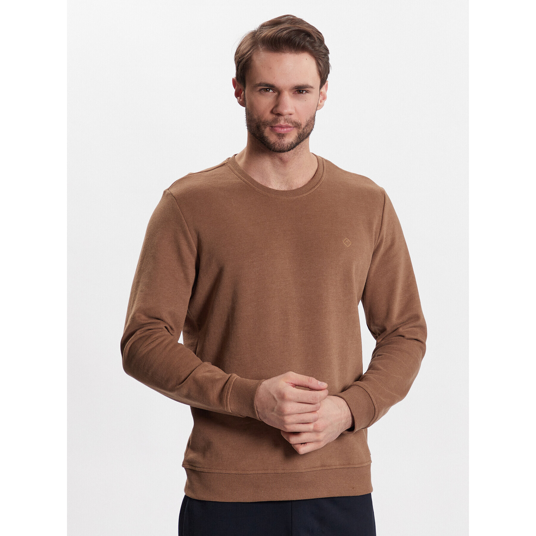 Volcano Суитшърт B-Andy M01045-S23 Кафяв Regular Fit - Pepit.bg