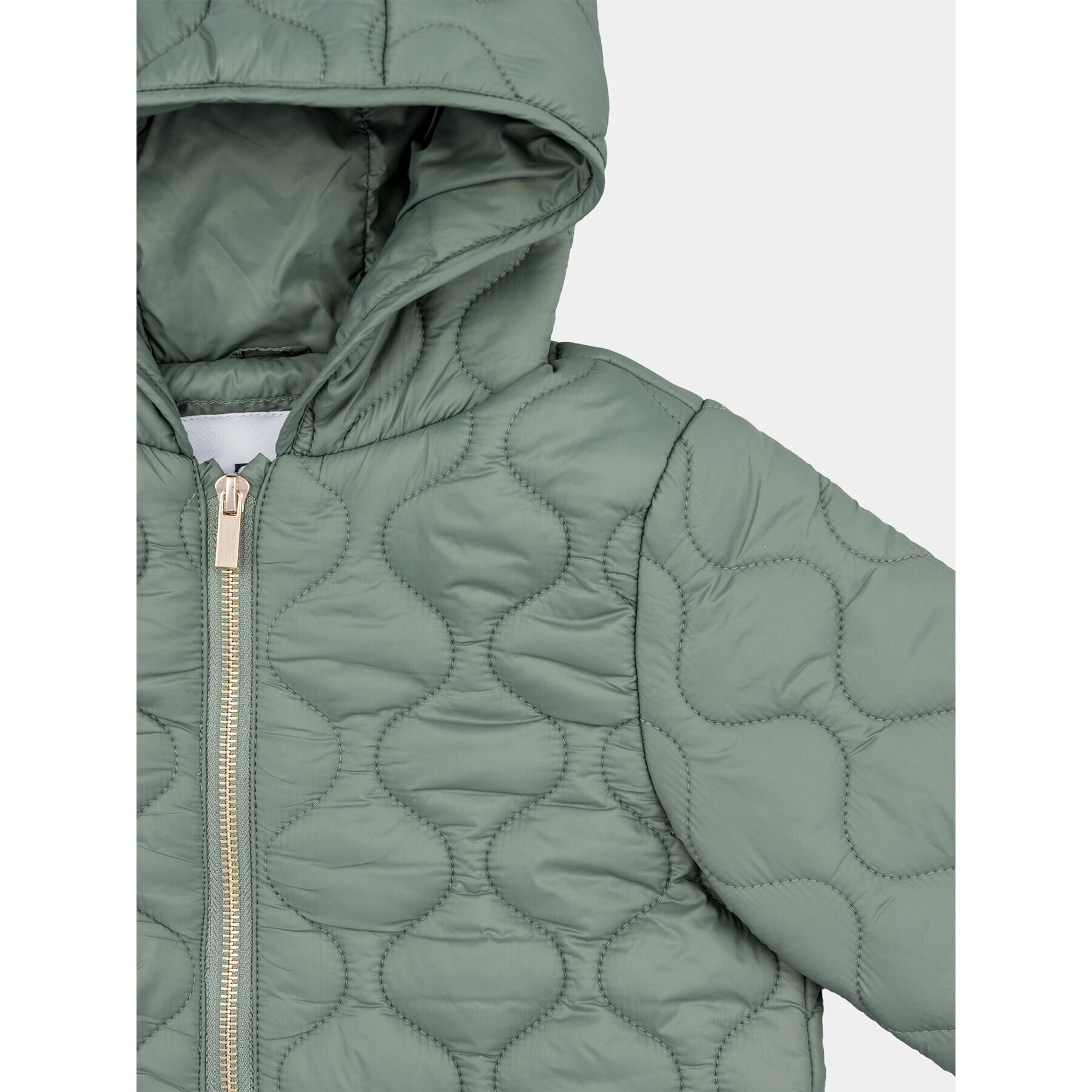 Zippy Преходно яке ZKGAP0101 23019 Зелен Regular Fit - Pepit.bg