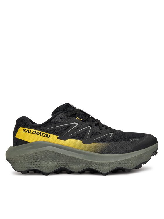 Salomon Маратонки за бягане Ultra Flow 2 Gtx L47981500